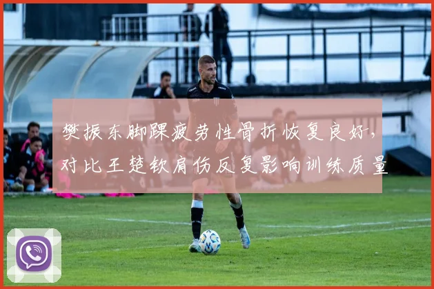 樊振东脚踝疲劳性骨折恢复良好，对比王楚钦肩伤反复影响训练质量